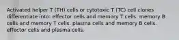 Activated helper T (TH) cells or cytotoxic T (TC) cell clones differentiate into: effector cells and memory T cells. memory B cells and memory T cells. plasma cells and memory B cells. effector cells and plasma cells.