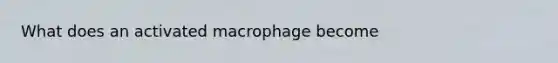 What does an activated macrophage become