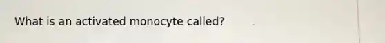 What is an activated monocyte called?