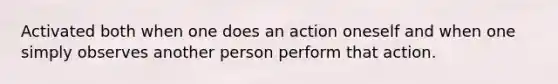 Activated both when one does an action oneself and when one simply observes another person perform that action.