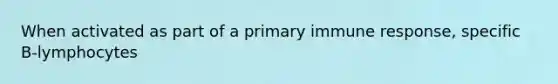 When activated as part of a primary immune response, specific B-lymphocytes