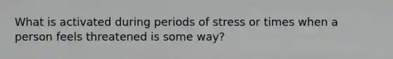 What is activated during periods of stress or times when a person feels threatened is some way?