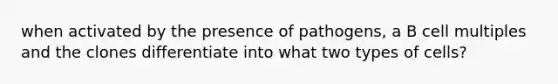 when activated by the presence of pathogens, a B cell multiples and the clones differentiate into what two types of cells?