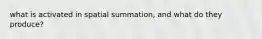 what is activated in spatial summation, and what do they produce?