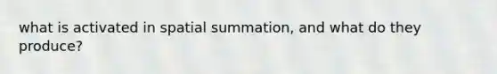 what is activated in spatial summation, and what do they produce?