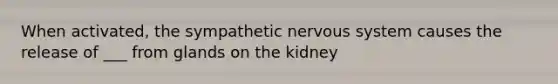 When activated, the sympathetic nervous system causes the release of ___ from glands on the kidney