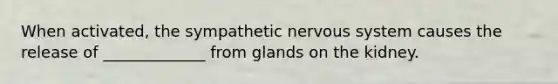 When activated, the sympathetic nervous system causes the release of _____________ from glands on the kidney.