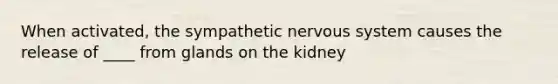 When activated, the sympathetic nervous system causes the release of ____ from glands on the kidney