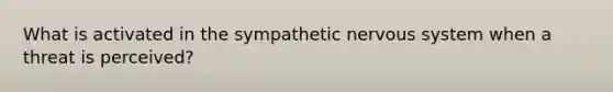 What is activated in the sympathetic nervous system when a threat is perceived?