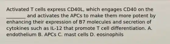 Activated T cells express CD40L, which engages CD40 on the ________ and activates the APCs to make them more potent by enhancing their expression of B7 molecules and secretion of cytokines such as IL-12 that promote T cell differentiation. A. endothelium B. APCs C. mast cells D. eosinophils