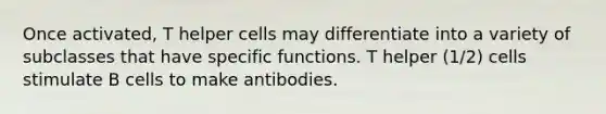 Once activated, T helper cells may differentiate into a variety of subclasses that have specific functions. T helper (1/2) cells stimulate B cells to make antibodies.