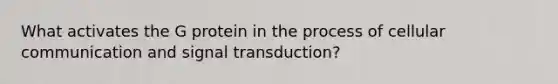 What activates the G protein in the process of cellular communication and signal transduction?