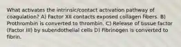 What activates the intrinsic/contact activation pathway of coagulation? A) Factor XII contacts exposed collagen fibers. B) Prothrombin is converted to thrombin. C) Release of tissue factor (Factor III) by subendothelial cells D) Fibrinogen is converted to fibrin.