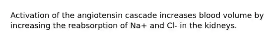 Activation of the angiotensin cascade increases blood volume by increasing the reabsorption of Na+ and Cl- in the kidneys.