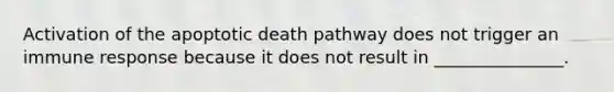 Activation of the apoptotic death pathway does not trigger an immune response because it does not result in _______________.