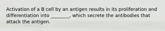 Activation of a B cell by an antigen results in its proliferation and differentiation into ________, which secrete the antibodies that attack the antigen.