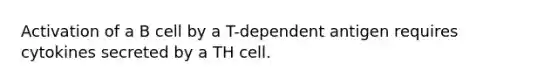 Activation of a B cell by a T-dependent antigen requires cytokines secreted by a TH cell.