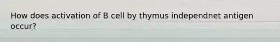 How does activation of B cell by thymus independnet antigen occur?