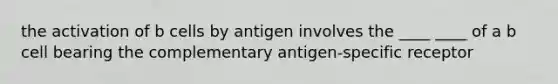 the activation of b cells by antigen involves the ____ ____ of a b cell bearing the complementary antigen-specific receptor