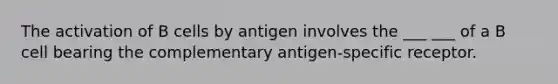 The activation of B cells by antigen involves the ___ ___ of a B cell bearing the complementary antigen-specific receptor.