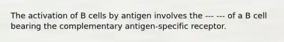 The activation of B cells by antigen involves the --- --- of a B cell bearing the complementary antigen-specific receptor.