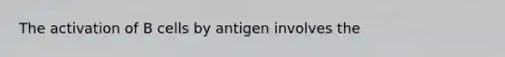 The activation of B cells by antigen involves the