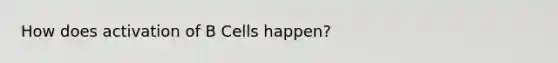 How does activation of B Cells happen?