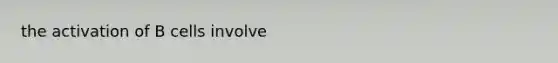 the activation of B cells involve