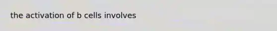 the activation of b cells involves