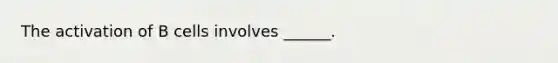 The activation of B cells involves ______.