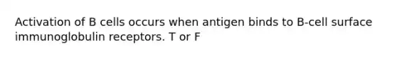 Activation of B cells occurs when antigen binds to B-cell surface immunoglobulin receptors. T or F