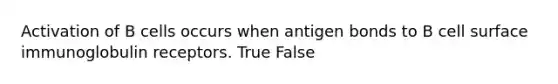 Activation of B cells occurs when antigen bonds to B cell surface immunoglobulin receptors. True False