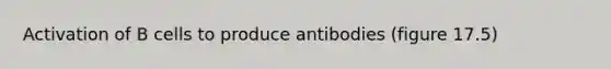 Activation of B cells to produce antibodies (figure 17.5)