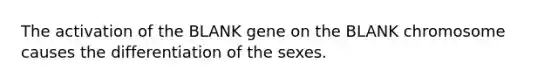 The activation of the BLANK gene on the BLANK chromosome causes the differentiation of the sexes.