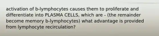 activation of b-lymphocytes causes them to proliferate and differentiate into PLASMA CELLS, which are - (the remainder become memory b-lymphocytes) what advantage is provided from lymphocyte recirculation?