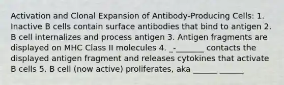 Activation and Clonal Expansion of Antibody-Producing Cells: 1. Inactive B cells contain surface antibodies that bind to antigen 2. B cell internalizes and process antigen 3. Antigen fragments are displayed on MHC Class II molecules 4. _-_______ contacts the displayed antigen fragment and releases cytokines that activate B cells 5. B cell (now active) proliferates, aka ______ ______