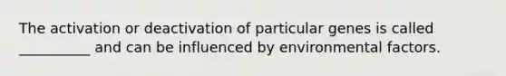 The activation or deactivation of particular genes is called __________ and can be influenced by environmental factors.