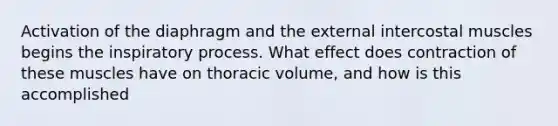 Activation of the diaphragm and the external intercostal muscles begins the inspiratory process. What effect does contraction of these muscles have on thoracic volume, and how is this accomplished