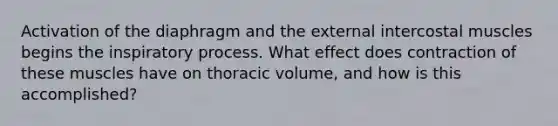 Activation of the diaphragm and the external intercostal muscles begins the inspiratory process. What effect does contraction of these muscles have on thoracic volume, and how is this accomplished?