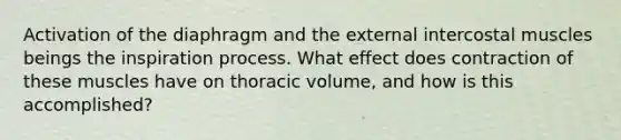 Activation of the diaphragm and the external intercostal muscles beings the inspiration process. What effect does contraction of these muscles have on thoracic volume, and how is this accomplished?