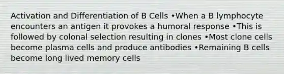 Activation and Differentiation of B Cells •When a B lymphocyte encounters an antigen it provokes a humoral response •This is followed by colonal selection resulting in clones •Most clone cells become plasma cells and produce antibodies •Remaining B cells become long lived memory cells