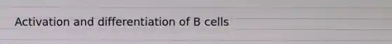 Activation and differentiation of B cells