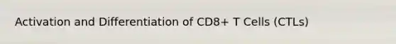 Activation and Differentiation of CD8+ T Cells (CTLs)