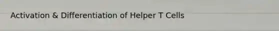 Activation & Differentiation of Helper T Cells