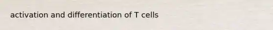 activation and differentiation of T cells