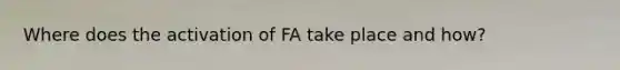 Where does the activation of FA take place and how?