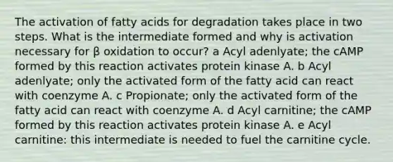 The activation of fatty acids for degradation takes place in two steps. What is the intermediate formed and why is activation necessary for β oxidation to occur? a Acyl adenlyate; the cAMP formed by this reaction activates protein kinase A. b Acyl adenlyate; only the activated form of the fatty acid can react with coenzyme A. c Propionate; only the activated form of the fatty acid can react with coenzyme A. d Acyl carnitine; the cAMP formed by this reaction activates protein kinase A. e Acyl carnitine: this intermediate is needed to fuel the carnitine cycle.