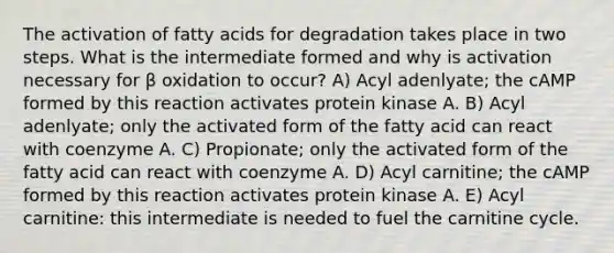 The activation of fatty acids for degradation takes place in two steps. What is the intermediate formed and why is activation necessary for β oxidation to occur? A) Acyl adenlyate; the cAMP formed by this reaction activates protein kinase A. B) Acyl adenlyate; only the activated form of the fatty acid can react with coenzyme A. C) Propionate; only the activated form of the fatty acid can react with coenzyme A. D) Acyl carnitine; the cAMP formed by this reaction activates protein kinase A. E) Acyl carnitine: this intermediate is needed to fuel the carnitine cycle.