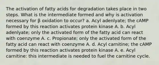 The activation of fatty acids for degradation takes place in two steps. What is the intermediate formed and why is activation necessary for β oxidation to occur? a. Acyl adenlyate; the cAMP formed by this reaction activates protein kinase A. b. Acyl adenlyate; only the activated form of the fatty acid can react with coenzyme A. c. Propionate; only the activated form of the fatty acid can react with coenzyme A. d. Acyl carnitine; the cAMP formed by this reaction activates protein kinase A. e. Acyl carnitine: this intermediate is needed to fuel the carnitine cycle.