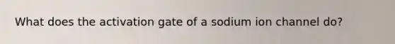 What does the activation gate of a sodium ion channel do?